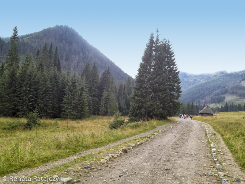 Arriving to Chcholowska Clearing (Polana Chcholowska) in Dolina's Chcholowska, Tatra Mountains, Poland.